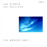 JOE DIORIO - The Breeze and I [Joe Diorio and Ira Sullivan] cover 